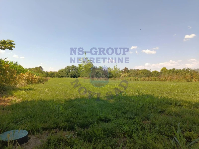 plac na prodaju Bački Petrovac 3244m2 573228