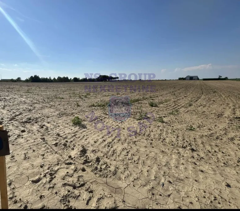 plac na prodaju Futog, 734m2 573261