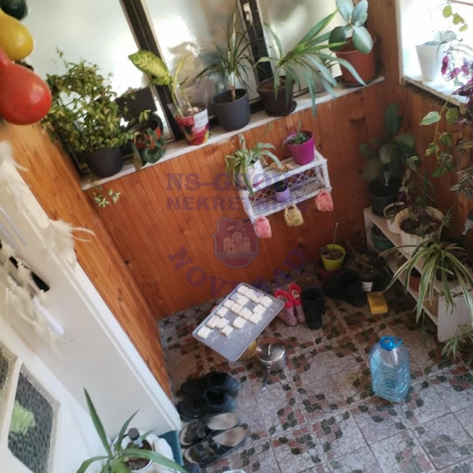 kuca na prodaju Vrdnik 65m2 573036
