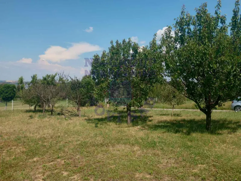 plac na prodaju Sremska Kamenica 550m2 573092