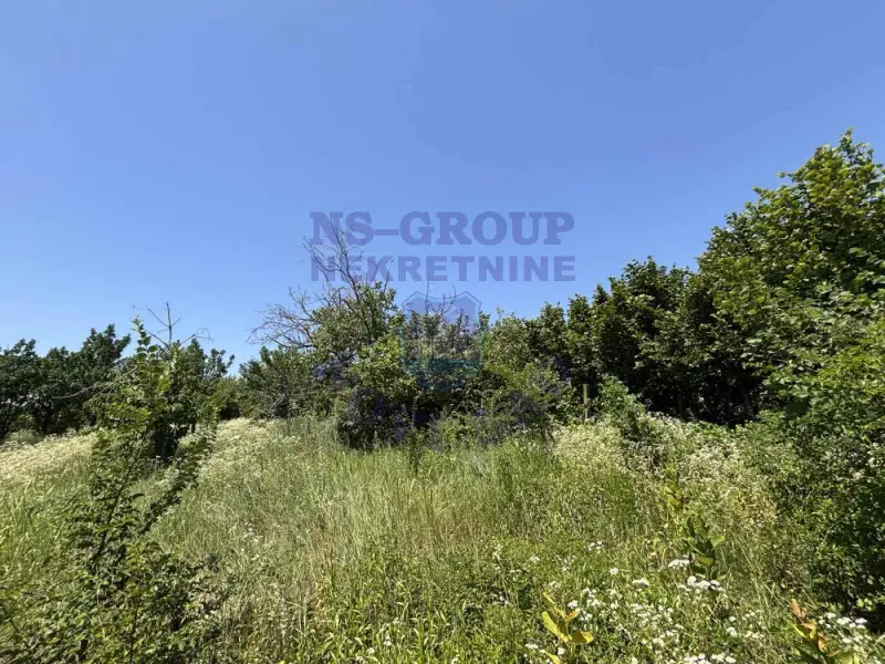 plac na prodaju Sremska Kamenica, 530m2 573493