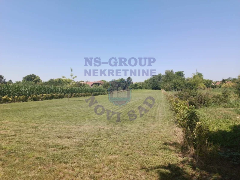 plac na prodaju Bački Petrovac, 3244m2 573228