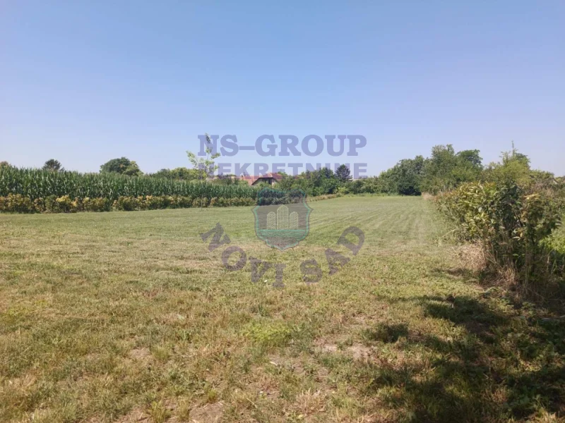 plac na prodaju Bački Petrovac 3244m2 573228