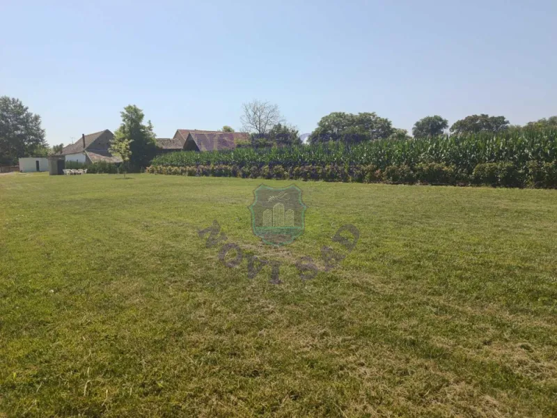 plac na prodaju Bački Petrovac 3244m2 573228