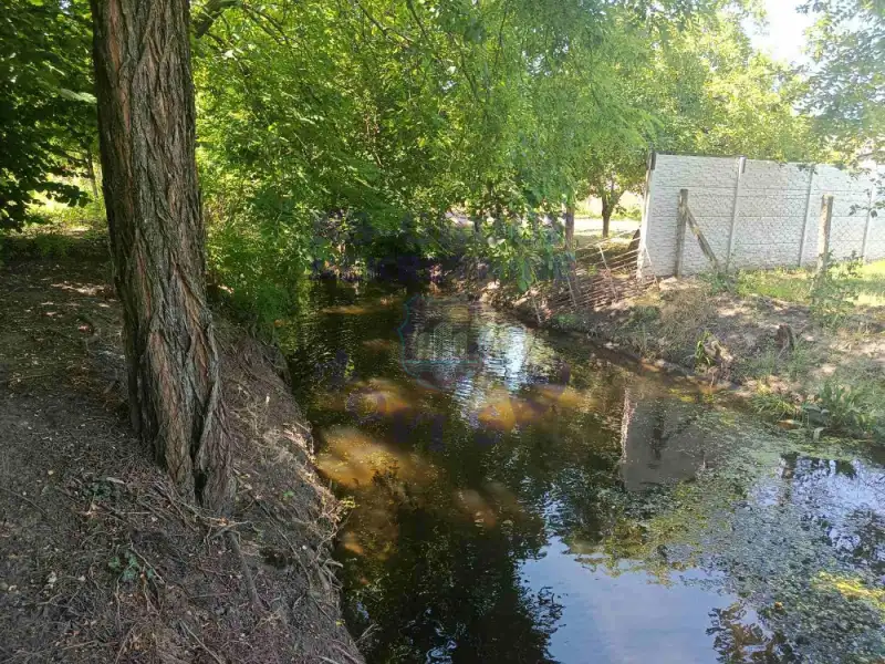 plac na prodaju Bački Petrovac 3244m2 573228