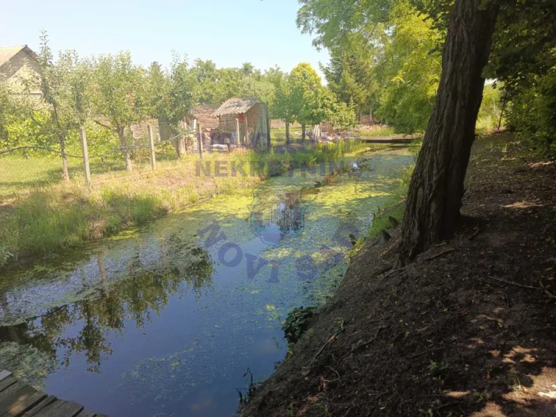 plac na prodaju Bački Petrovac 3244m2 573228