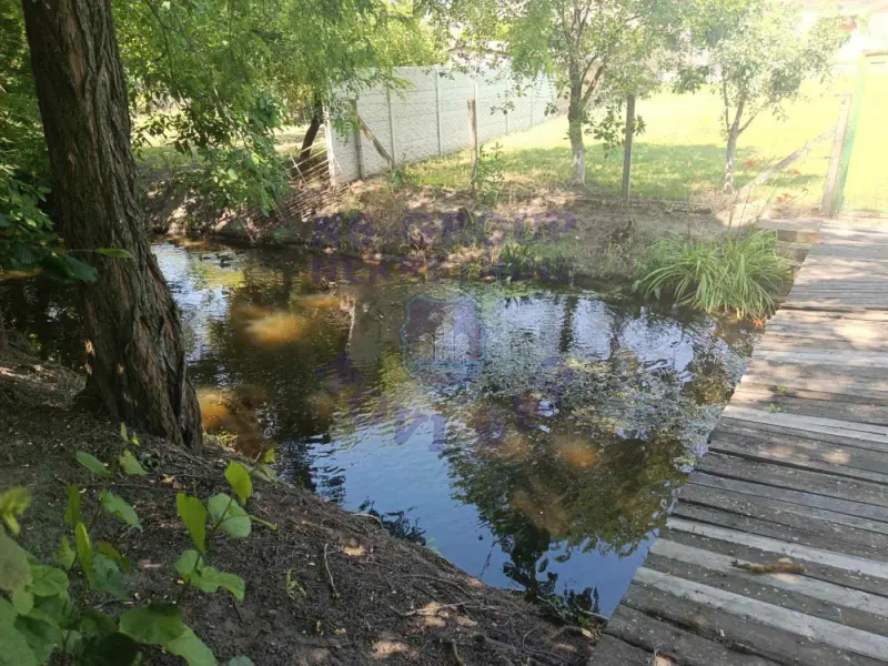 plac na prodaju Bački Petrovac 3244m2 573228