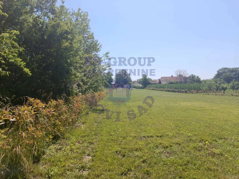 plac na prodaju Bački Petrovac 3244m2 573228