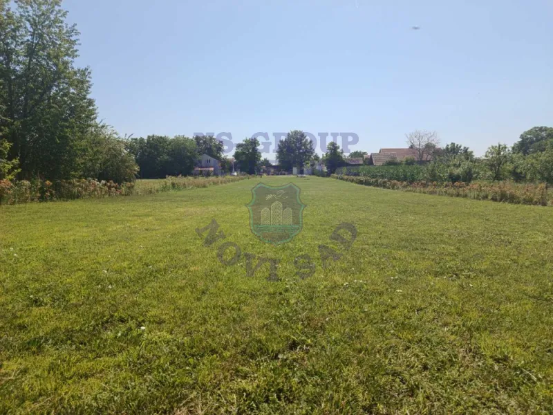 plac na prodaju Bački Petrovac 3244m2 573228