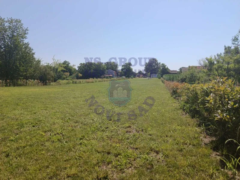 plac na prodaju Bački Petrovac 3244m2 573228