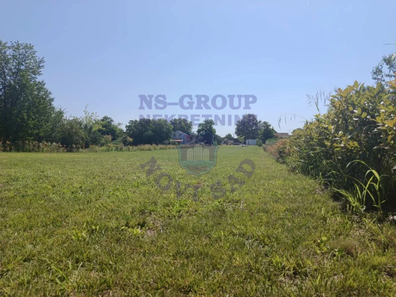 plac na prodaju Bački Petrovac 3244m2 573228