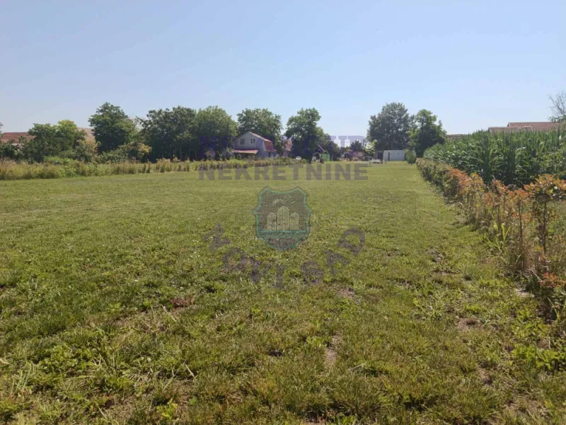 plac na prodaju Bački Petrovac 3244m2 573228