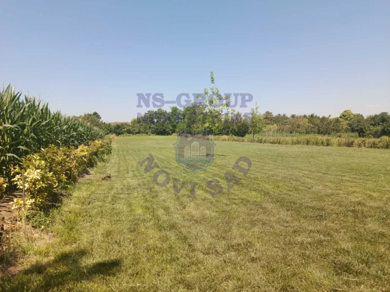 plac na prodaju Bački Petrovac 3244m2 573228