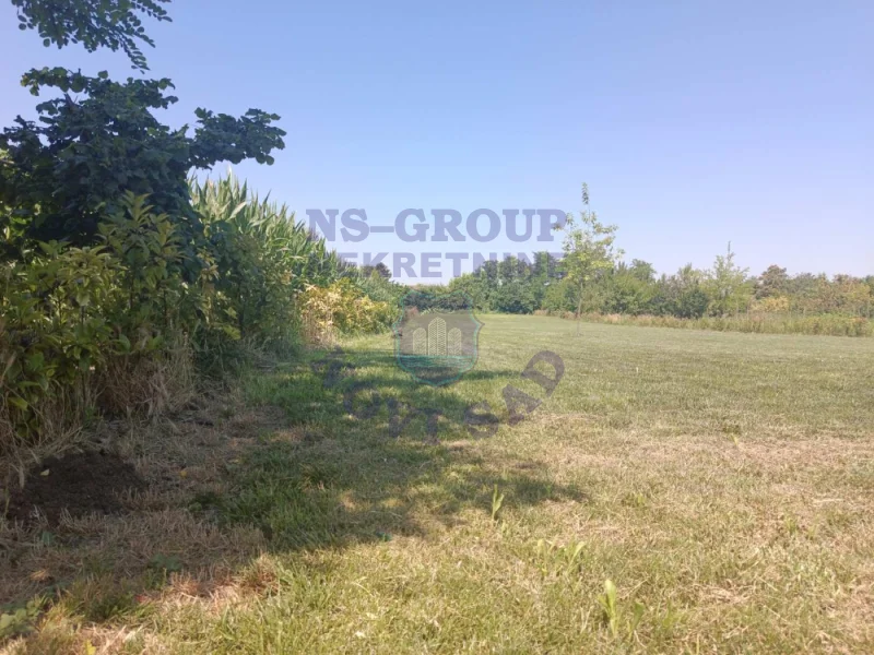 plac na prodaju Bački Petrovac 3244m2 573228