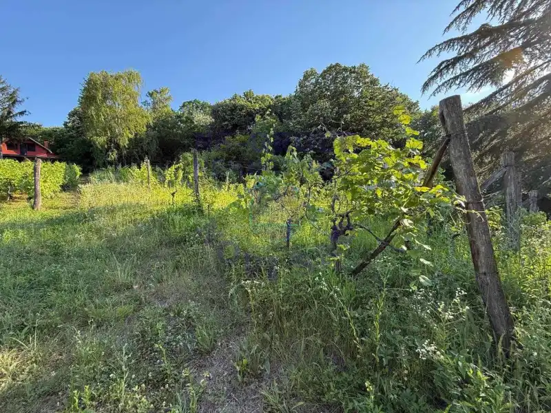 plac na prodaju Sremski Karlovci, 2481m2 573764