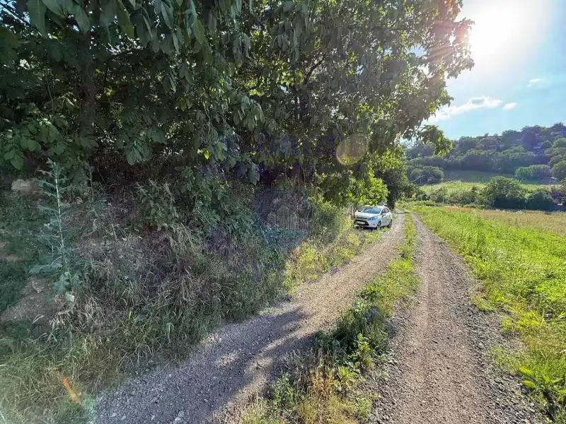 plac na prodaju Sremski Karlovci 2481m2 573764