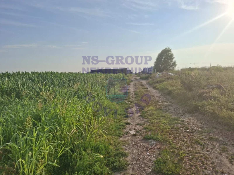 plac na prodaju Futog 3533m2 573921