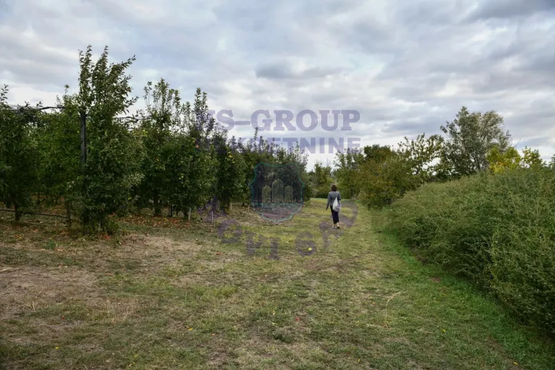 kuca na prodaju Srbobran 313m2 573494