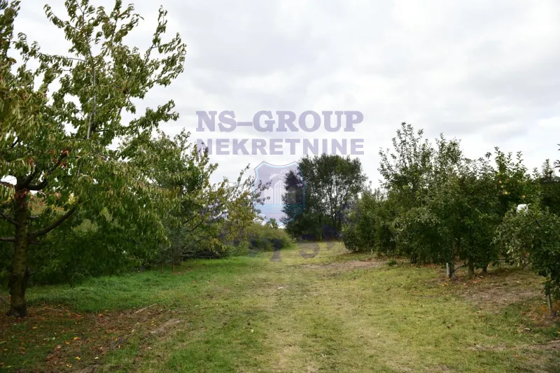 kuca na prodaju Srbobran 313m2 573494