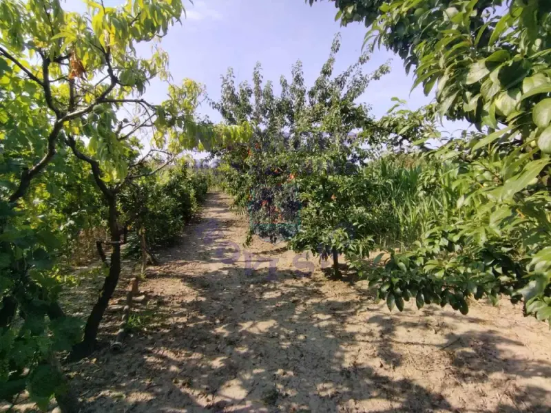 kuca na prodaju Gložan 220m2 574112