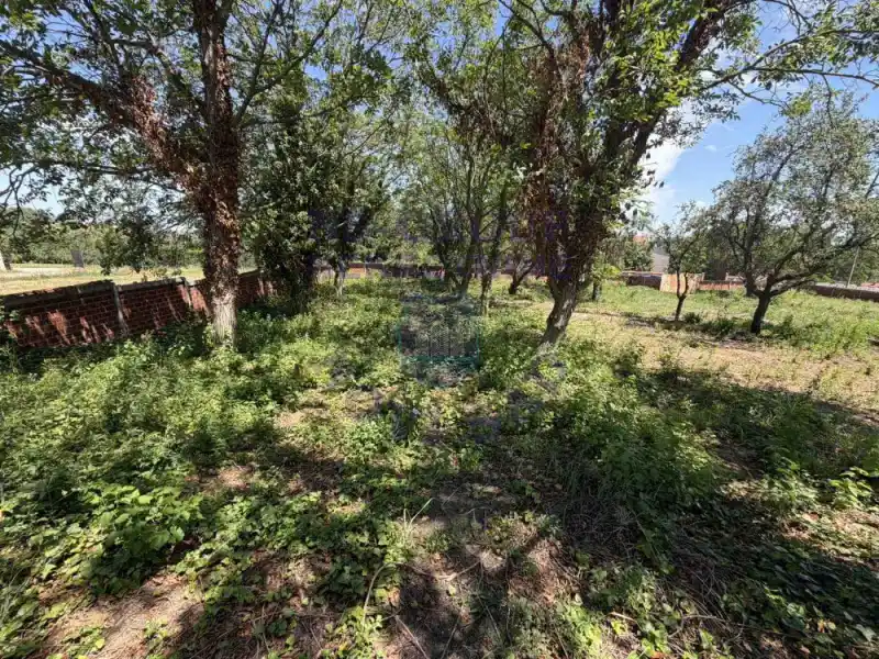 plac na prodaju Čortanovci, 1019m2 573917