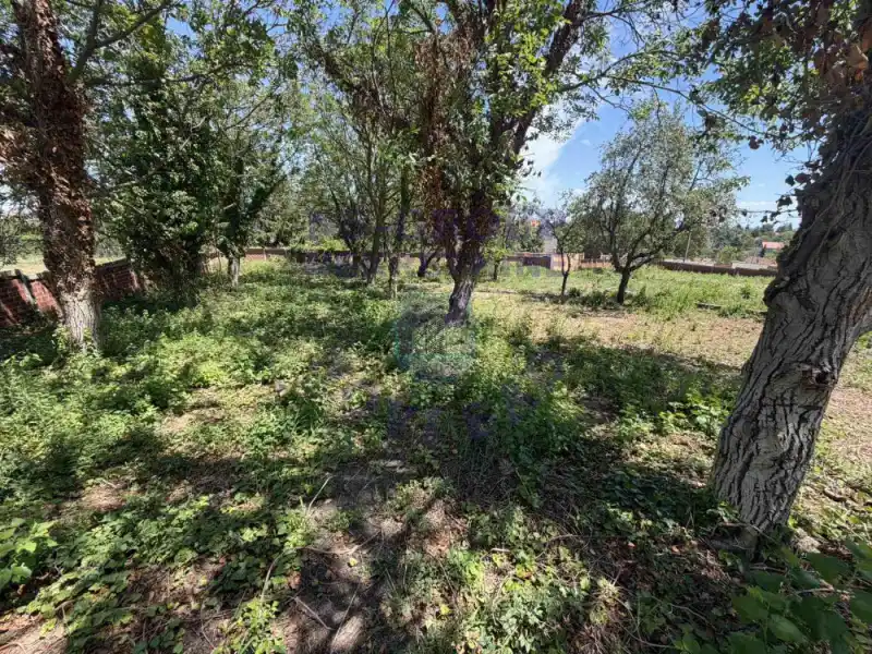 plac na prodaju Čortanovci 1019m2 573917