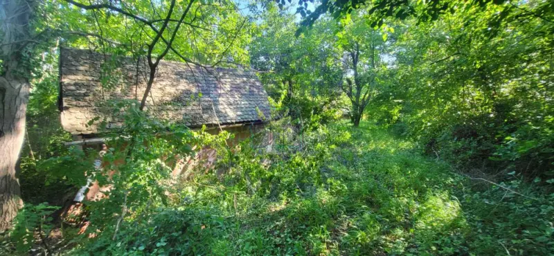 plac na prodaju Sremski Karlovci 2446m2 573672