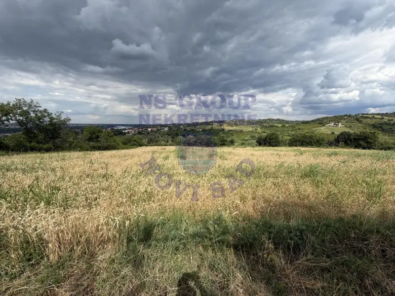 plac na prodaju Ledinci, 12268m2 574132