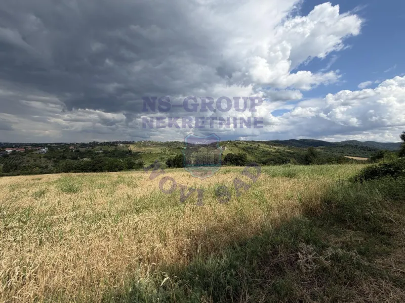 plac na prodaju Ledinci 12268m2 574132
