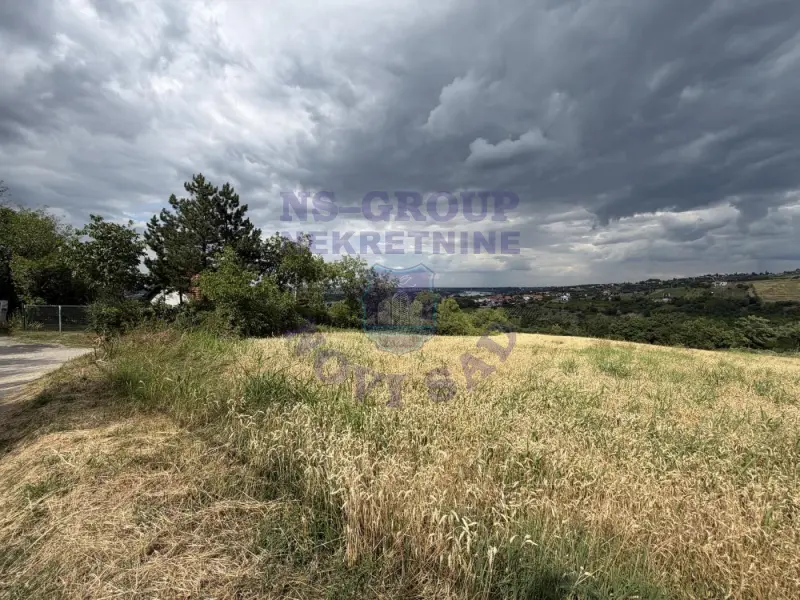 plac na prodaju Ledinci 12268m2 574132