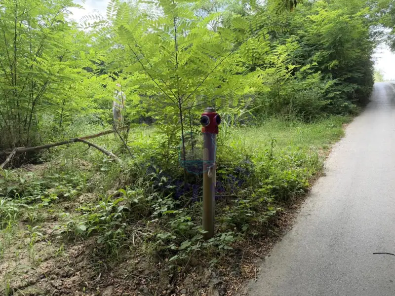 plac na prodaju Ledinci, 7880m2 574134