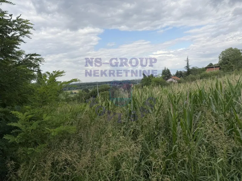 plac na prodaju Ledinci 7880m2 574134