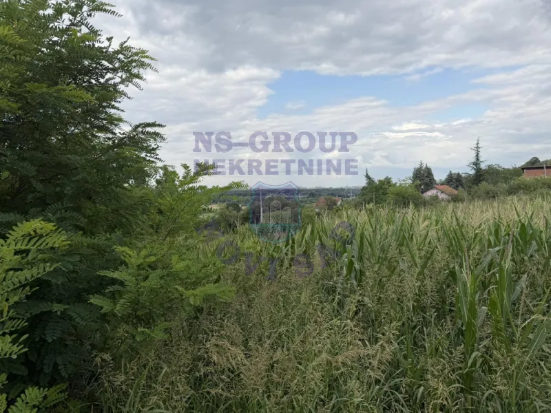 plac na prodaju Ledinci 7880m2 574134