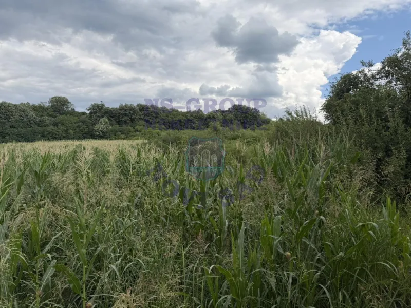 plac na prodaju Ledinci 7880m2 574134