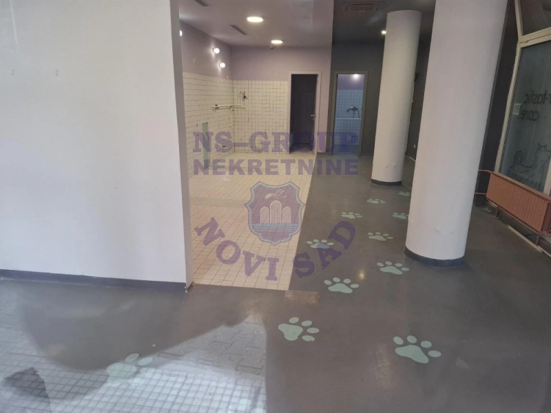 lokal za izdavanje Novi Sad 76m2 16897