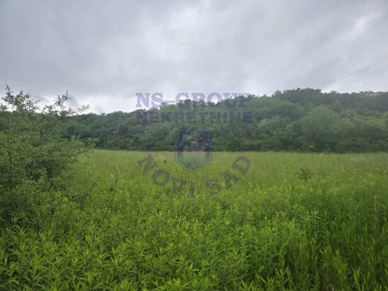 plac na prodaju Susek 4888m2 564786