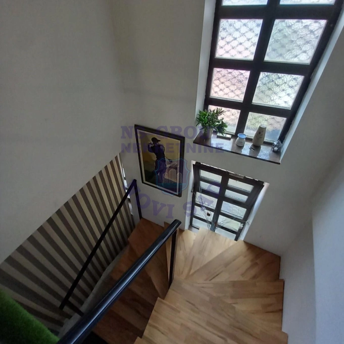 lokal za izdavanje Novi Sad 28m2 16901