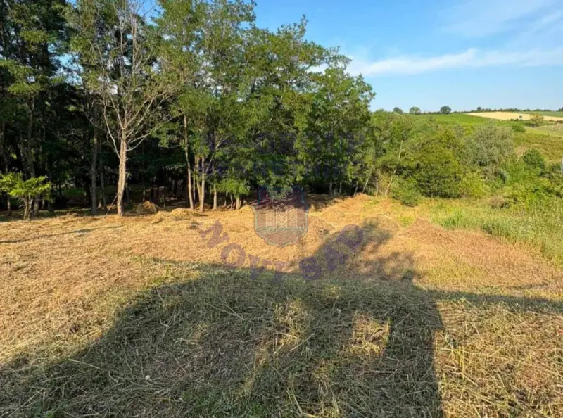 plac na prodaju Irig, 1121m2 574237