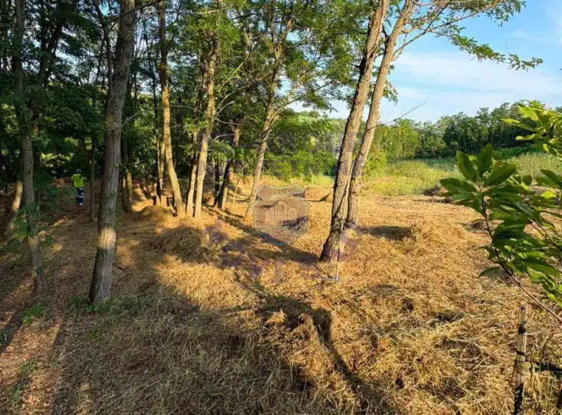plac na prodaju Irig 1121m2 574237