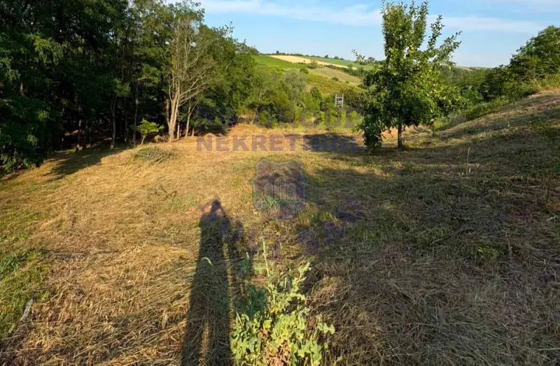 plac na prodaju Irig 1121m2 574237