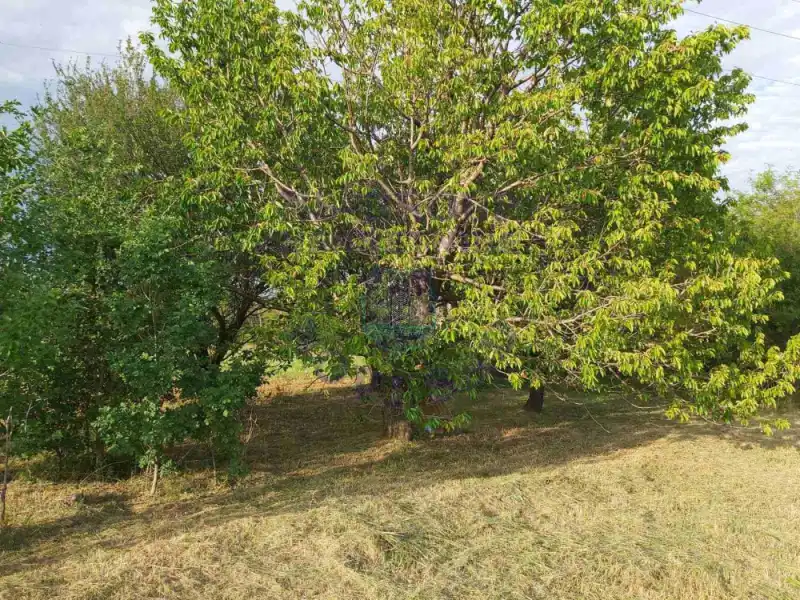 plac na prodaju Bukovac, 1279m2 574456