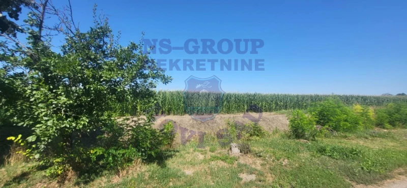 plac na prodaju Kisač 4901m2 570241