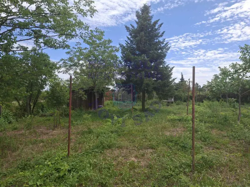 plac na prodaju Čortanovci 1037m2 574118