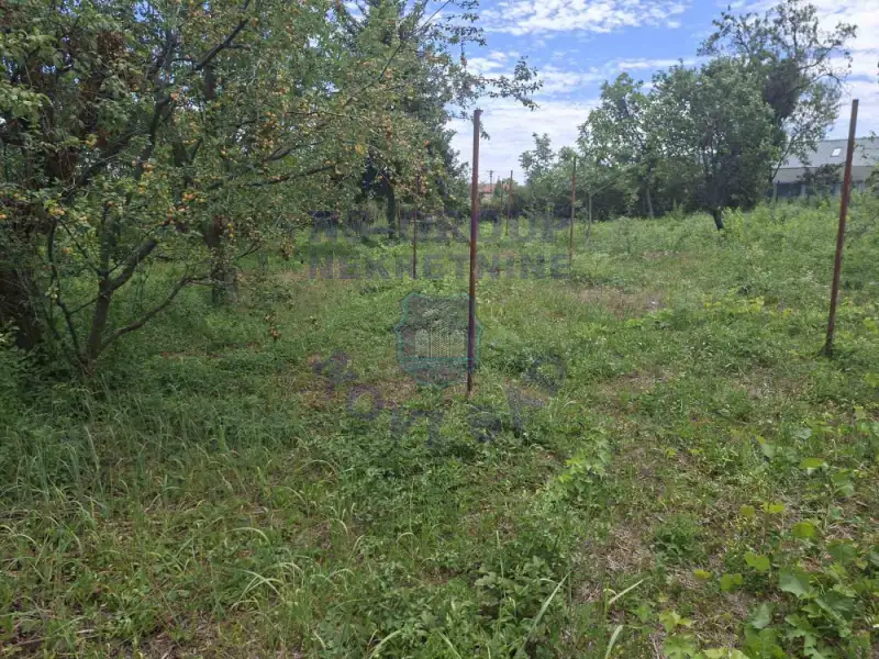 plac na prodaju Čortanovci 1037m2 574118