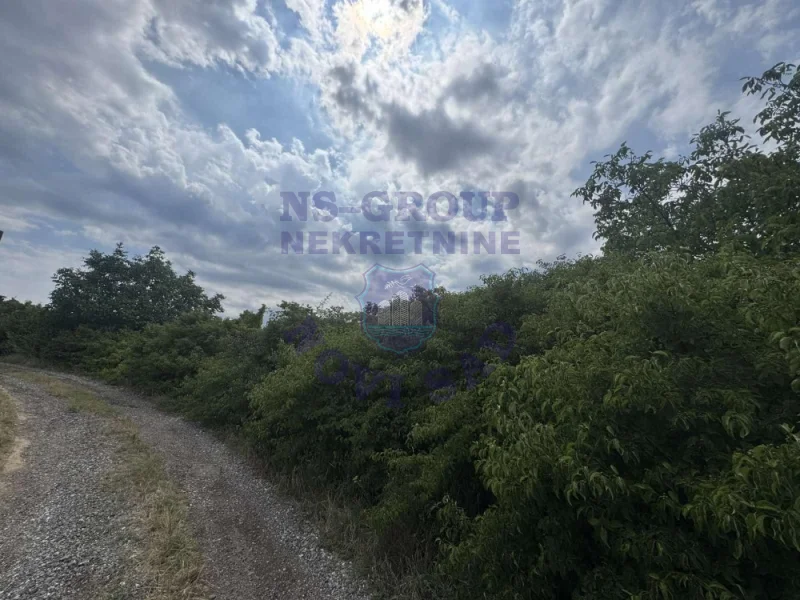 plac na prodaju Čerević 1426m2 574521