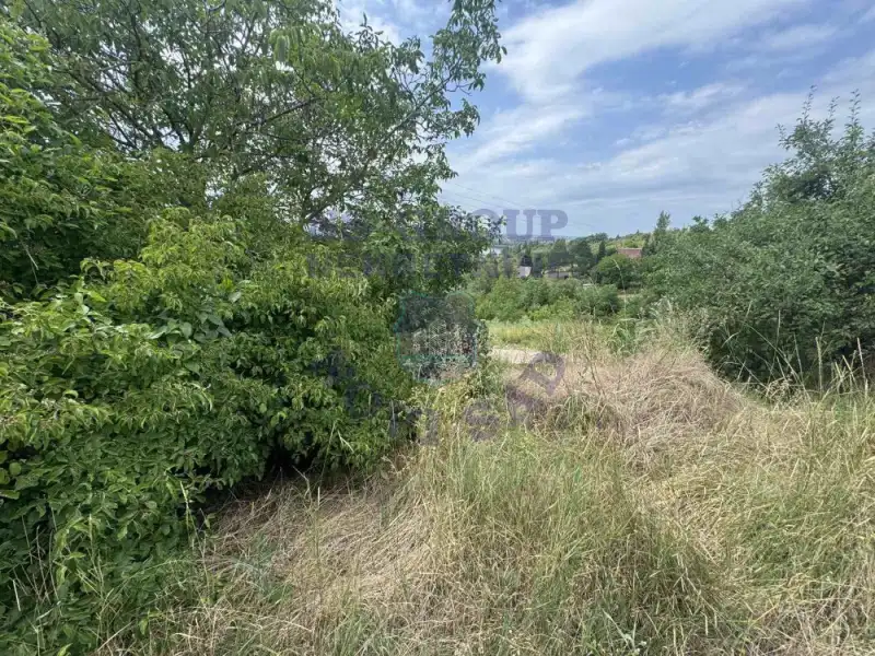 plac na prodaju Čerević 1426m2 574521
