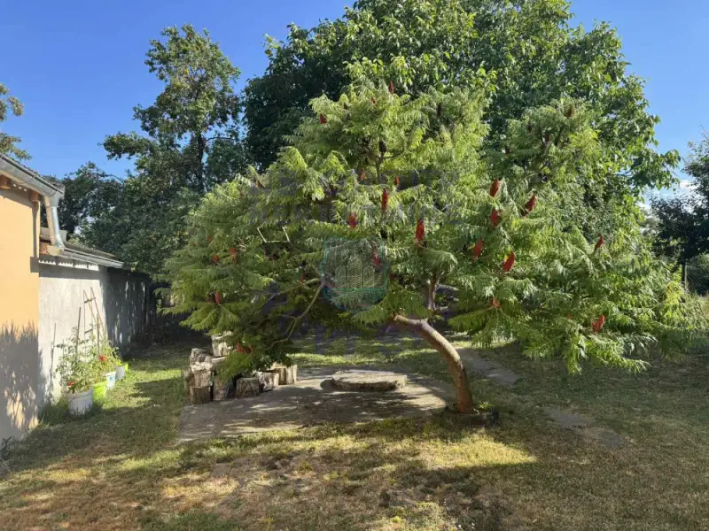 kuca na prodaju Kovilj 65m2 574494