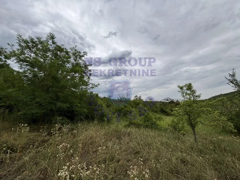 property-card-img-100894