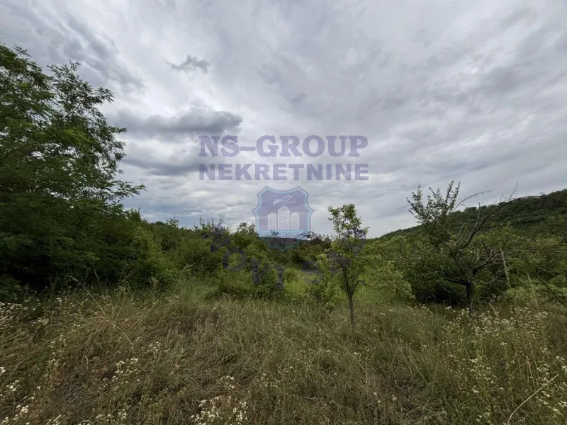 plac na prodaju Sremski Karlovci 3190m2 574459
