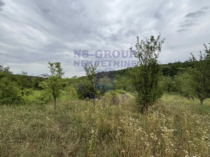 plac na prodaju Sremski Karlovci 3190m2 574459